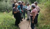 Tour Wandern Muret - muret ferrane JP  - Photo 6