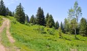 Tour Wandern Crêts-en-Belledonne - LE GRAND ROCHER PAR LE REFUGE DU CRET DU POULET - Photo 6