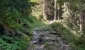 Trail Walking Chamonix-Mont-Blanc - Les Tines ,les Bois,les Mottets,Chamonix et retour par petit balcon sud - Photo 15