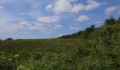 Tour Zu Fuß Tecklenburg - Teutoschleife Tecklenburger Bergpfad - Photo 7