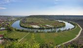 Trail On foot Hessigheim - Neckarhöhen - Photo 2