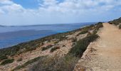 Tour Wandern Għajnsielem - MALTE 2024 / 04 COMINO ISLAND - Photo 9