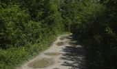 Tour Zu Fuß Unbekannt - Naturlehrpfad obere Lobau (Saltenstraße Rundweg) - Photo 8