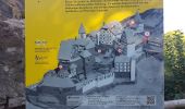 Trail Walking Schramberg - Schramberg - Châteaux de Falkenstein et de Hohenschramberg - Photo 13