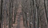 Percorso A piedi Daliowa - Szlak spacerowy Stasiana - Dukla - Photo 6