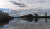 Tour Wandern Argelès-sur-Mer - réserve du mas Larrieu de part et d autre du Tech - Photo 14