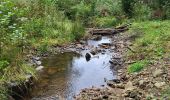 Trail Walking Manhay - Dochamps 240924 - Photo 4