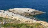 Trail Walking Calvi - Calvi : Pointe de revellata - Photo 5