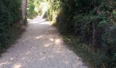 Trail Walking Saint-Quentin-en-Tourmont - chemin du littoral  - Photo 11