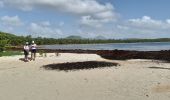 Excursión Senderismo Le Vauclin - Boucle Macabou via Morne Etoile - Photo 6