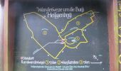 Tour Zu Fuß Melsungen - Melsunger Rundwanderweg M7 - Photo 4