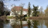 Randonnée Marche Erstein - ail des ours source du Bronnenwasset - Photo 4