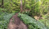 Tocht Stappen Chaudfontaine - autour du bois les dames  - Photo 20