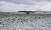 Trail Walking Peyre en Aubrac - Aumont Aubrac / Le Py auberge les gentianes  - Photo 10