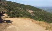 Trail Mountain bike Gassin - Saint-Tropez - Rayol Canadel sur mer  - Photo 12