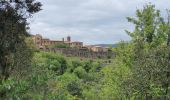 Tour Wandern Collobrières - Rando La Verne - Photo 1