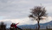 Percorso A piedi Longi - LONGI ALCARA LI FUSI CAI SICILIA - Photo 10