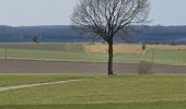 Tour Wandern Libramont-Chevigny - rando laneuville(libramont)18/02/2021 - Photo 4