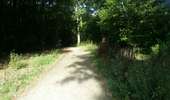 Randonnée Marche Maurepas - kasipadvil - Photo 9