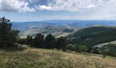 Trail Walking Mont Lozère et Goulet - Mont Lozère, col Finiels  - Photo 1