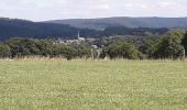 Tocht Stappen Saint-Hubert - arville 290720 - Photo 2