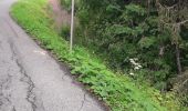 Randonnée Vélo de route Morzine - avoriaz par la joux verte - Photo 1