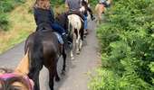 Trail Horseback riding Montsauche-les-Settons - Tracé cimetière militaire stèle  - Photo 1
