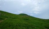 Randonnée Marche Albepierre-Bredons - Cantal - Col de Prat de Bouc Le Plomb du Cantal - 8.2km 450m 2h45 - 2019 07 06 - Photo 2