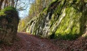 Randonnée Marche Houffalize - Engreux 021122 - Photo 19