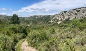 Tocht Stappen Saint-Rémy-de-Provence - Le plateau de Caume - Photo 8