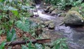 Randonnée Marche Vieux-Habitants - vallée et cascade Beaugendre - Photo 1