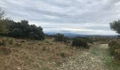 Excursión Senderismo Saint-Rémy-de-Provence - La crête des Alpilles - Photo 10