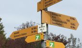 Trail On foot Rothenburg - Rothenburg Station - Ober Wahligen - Photo 8