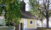 Tour Zu Fuß Gemeinde Sulz im Weinviertel - Wanderung rund um die Nexinger Teiche - Photo 2