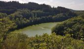 Randonnée Marche Lac de la Haute-Sûre - Bavigne - Photo 13