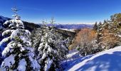 Excursión Esquí de fondo Selonnet - 20210218 - Tête grosse - Chabanon - Selonnet - Photo 7
