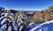 Trail Touring skiing Selonnet - 20210218 - Tête grosse - Chabanon - Selonnet - Photo 7