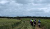 Trail Walking Brissac-Loire-Aubance - St Rémy la Varenne - Gennes - Photo 5