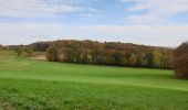 Tocht Elektrische fiets Ronse - Parcours 2/2 similaire au  Fiertel (2eme partie) - Photo 12