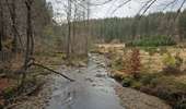 Trail Walking Baelen - Hestreux - La vallée de la Soor - Photo 12