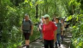 Trail  Yerres - BM boucle 2 rivières - Photo 8