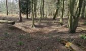 Tour Zu Fuß West Suffolk - Forest and Heath Trail - Photo 4