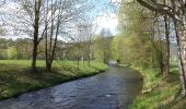 Tour Zu Fuß Lohr am Main - Ortswanderweg Lohr 8 - Photo 3