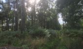 Trail On foot Unknown - West Fife Woodlands Way - Photo 8