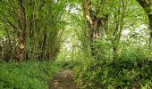 Trail Walking Olne - La balade de l'ail des Ours (Olne) 🥾 - Photo 5