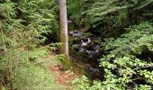 Trail Walking Girmont-Val-d'Ajol - herival - Photo 2