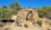 Trail Walking Le Castellet - Ste Anne du Castellet - Photo 1