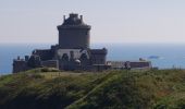 Excursión Senderismo Plévenon - du Fort La Latte au Cap Fréhel - Photo 1