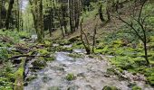 Trail Walking Foncine-le-Bas - Autour de la cascade du Bief de la Ruine 🥾 - Photo 2