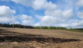 Tour Wandern Libin - rando redu  11-05-2023 - Photo 20